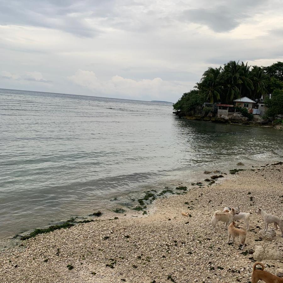 Luna Oslob Travellers Inn - Beach Front エクステリア 写真